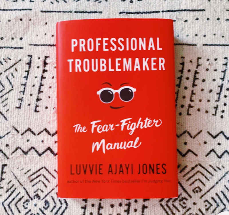 Professional Troublemaker: The Fear-Fighter Manual [Hardcover]
